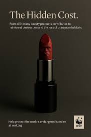 the hidden cost wwf.jpeg