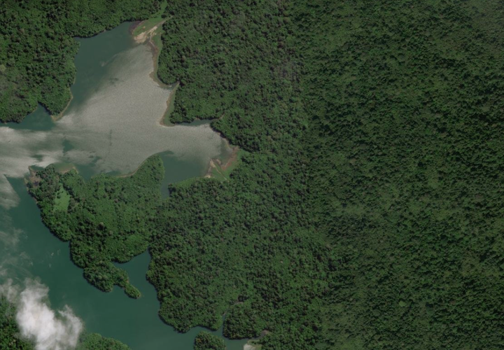 Your sofa & the planet: Tracing its deep connection to global biodiversity